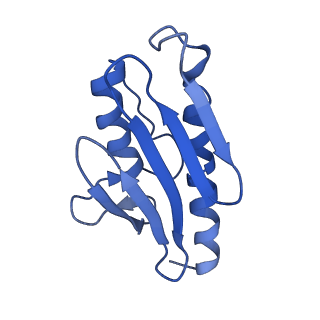 0560_6nzu_I_v1-2
Structure of the human frataxin-bound iron-sulfur cluster assembly complex