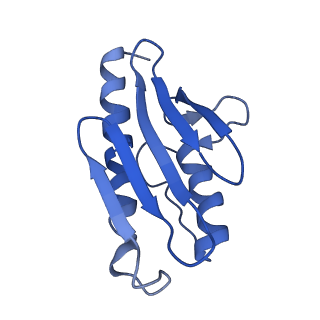 0560_6nzu_J_v1-2
Structure of the human frataxin-bound iron-sulfur cluster assembly complex