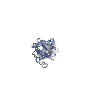 0562_6nzw_A_v1-2
LRRC8A-DCPIB in MSP1E3D1 nanodisc constricted state