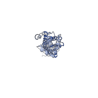 0562_6nzw_C_v1-2
LRRC8A-DCPIB in MSP1E3D1 nanodisc constricted state