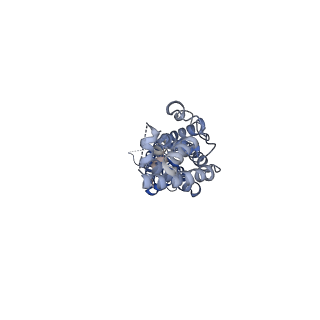0562_6nzw_D_v1-2
LRRC8A-DCPIB in MSP1E3D1 nanodisc constricted state
