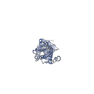 0562_6nzw_F_v1-2
LRRC8A-DCPIB in MSP1E3D1 nanodisc constricted state