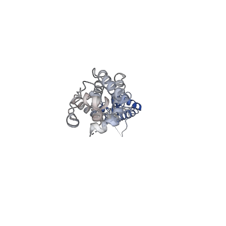 0563_6nzz_B_v1-3
LRRC8A-DCPIB in MSP1E3D1 nanodisc expanded state