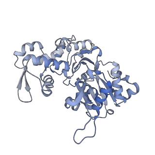 12665_7nzm_A_v1-1
Cryo-EM structure of pre-dephosphorylation complex of phosphorylated eIF2alpha with trapped holophosphatase (PP1A_D64A/PPP1R15A/G-actin/DNase I)