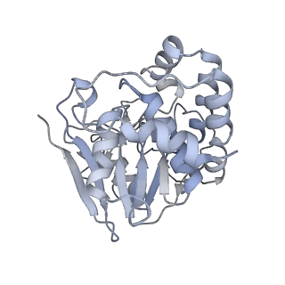 12665_7nzm_B_v1-1
Cryo-EM structure of pre-dephosphorylation complex of phosphorylated eIF2alpha with trapped holophosphatase (PP1A_D64A/PPP1R15A/G-actin/DNase I)