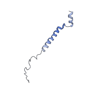 12665_7nzm_C_v1-1
Cryo-EM structure of pre-dephosphorylation complex of phosphorylated eIF2alpha with trapped holophosphatase (PP1A_D64A/PPP1R15A/G-actin/DNase I)
