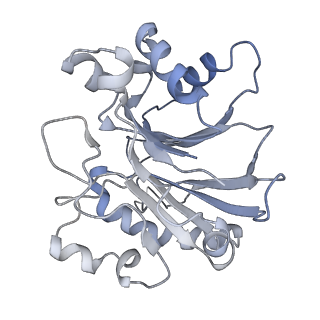 12665_7nzm_D_v1-1
Cryo-EM structure of pre-dephosphorylation complex of phosphorylated eIF2alpha with trapped holophosphatase (PP1A_D64A/PPP1R15A/G-actin/DNase I)