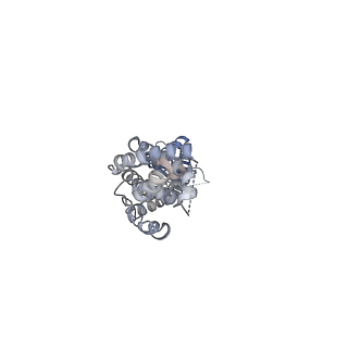 0564_6o00_A_v1-3
apo-LRRC8A in MSP2N2 nanodisc constricted state