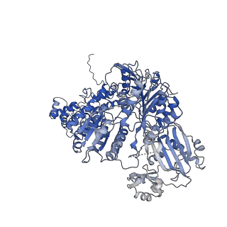 0567_6o0h_B_v1-2
Cryo-EM structure of human ATP-citrate lyase in complex with inhibitor NDI-091143
