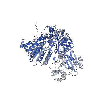 0567_6o0h_B_v1-3
Cryo-EM structure of human ATP-citrate lyase in complex with inhibitor NDI-091143