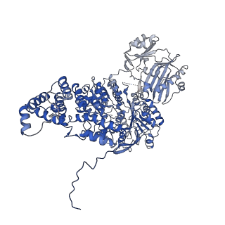 0567_6o0h_C_v1-2
Cryo-EM structure of human ATP-citrate lyase in complex with inhibitor NDI-091143