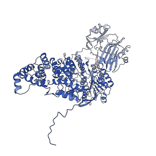 0567_6o0h_C_v1-3
Cryo-EM structure of human ATP-citrate lyase in complex with inhibitor NDI-091143