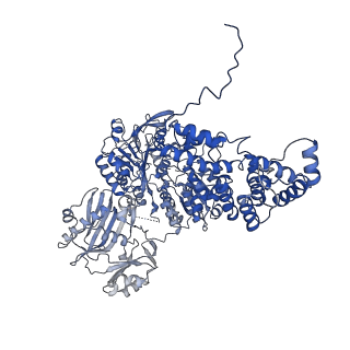 0567_6o0h_D_v1-2
Cryo-EM structure of human ATP-citrate lyase in complex with inhibitor NDI-091143