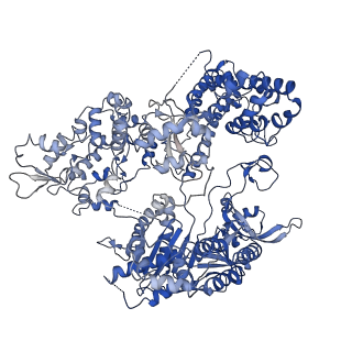 0584_6o0y_A_v1-4
Conformational states of Cas9-sgRNA-DNA ternary complex in the presence of magnesium