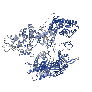 0584_6o0y_A_v1-5
Conformational states of Cas9-sgRNA-DNA ternary complex in the presence of magnesium