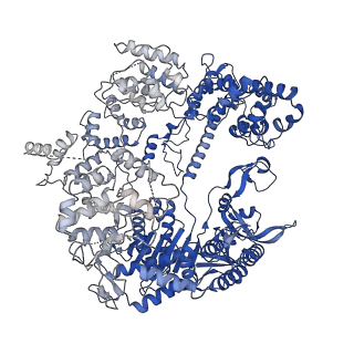 0585_6o0z_A_v1-4
Conformational states of Cas9-sgRNA-DNA ternary complex in the presence of magnesium
