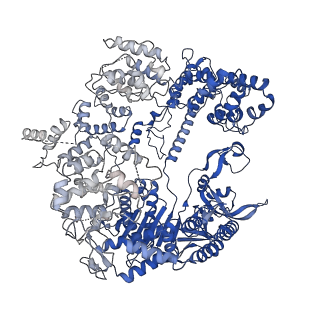 0585_6o0z_A_v1-5
Conformational states of Cas9-sgRNA-DNA ternary complex in the presence of magnesium