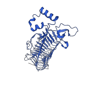 12683_7o0y_A_v1-1
ABC transporter NosDFY, nucleotide-free in GDN
