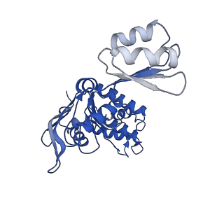 12683_7o0y_B_v1-1
ABC transporter NosDFY, nucleotide-free in GDN