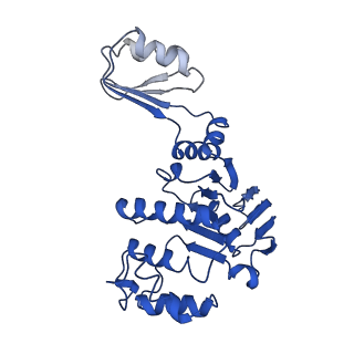 12683_7o0y_C_v1-1
ABC transporter NosDFY, nucleotide-free in GDN
