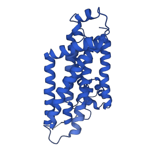 12683_7o0y_D_v1-1
ABC transporter NosDFY, nucleotide-free in GDN