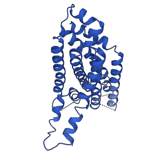 12683_7o0y_E_v1-1
ABC transporter NosDFY, nucleotide-free in GDN