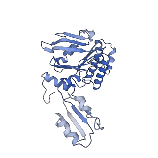 12684_7o0z_B_v1-0
ABC transporter NosFY, nucleotide-free in GDN