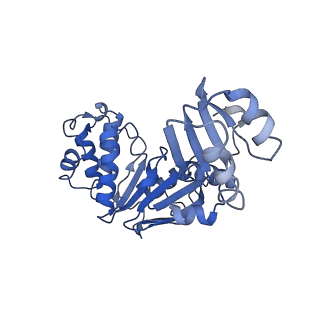 12684_7o0z_C_v1-0
ABC transporter NosFY, nucleotide-free in GDN