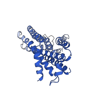 12684_7o0z_D_v1-0
ABC transporter NosFY, nucleotide-free in GDN