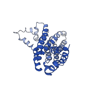 12684_7o0z_E_v1-0
ABC transporter NosFY, nucleotide-free in GDN