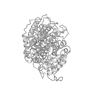 0454_6o1o_A_v1-2
Cryo-EM structure of the T. thermophilus Csm complex bound to target ssRNA
