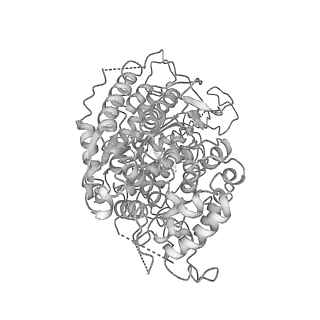 0454_6o1o_A_v1-3
Cryo-EM structure of the T. thermophilus Csm complex bound to target ssRNA