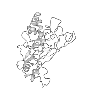 0454_6o1o_B_v1-2
Cryo-EM structure of the T. thermophilus Csm complex bound to target ssRNA