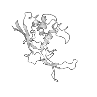 0454_6o1o_C_v1-2
Cryo-EM structure of the T. thermophilus Csm complex bound to target ssRNA