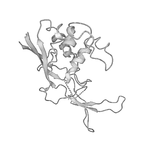 0454_6o1o_C_v1-3
Cryo-EM structure of the T. thermophilus Csm complex bound to target ssRNA