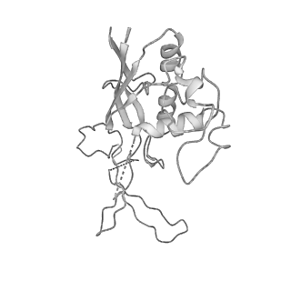 0454_6o1o_D_v1-2
Cryo-EM structure of the T. thermophilus Csm complex bound to target ssRNA