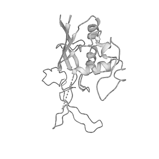 0454_6o1o_D_v1-3
Cryo-EM structure of the T. thermophilus Csm complex bound to target ssRNA