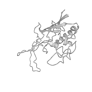 0454_6o1o_E_v1-2
Cryo-EM structure of the T. thermophilus Csm complex bound to target ssRNA