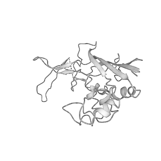 0454_6o1o_F_v1-2
Cryo-EM structure of the T. thermophilus Csm complex bound to target ssRNA