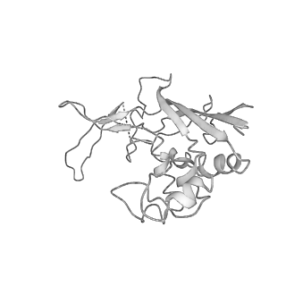 0454_6o1o_F_v1-3
Cryo-EM structure of the T. thermophilus Csm complex bound to target ssRNA