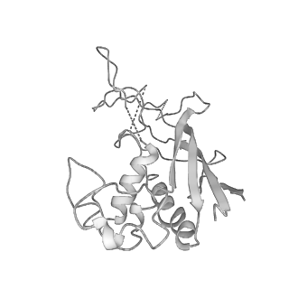 0454_6o1o_G_v1-3
Cryo-EM structure of the T. thermophilus Csm complex bound to target ssRNA