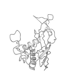0454_6o1o_H_v1-2
Cryo-EM structure of the T. thermophilus Csm complex bound to target ssRNA