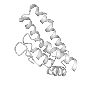 0454_6o1o_I_v1-2
Cryo-EM structure of the T. thermophilus Csm complex bound to target ssRNA