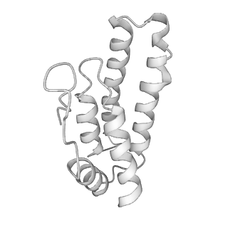 0454_6o1o_J_v1-2
Cryo-EM structure of the T. thermophilus Csm complex bound to target ssRNA