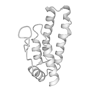 0454_6o1o_J_v1-3
Cryo-EM structure of the T. thermophilus Csm complex bound to target ssRNA
