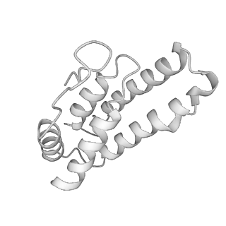 0454_6o1o_K_v1-2
Cryo-EM structure of the T. thermophilus Csm complex bound to target ssRNA