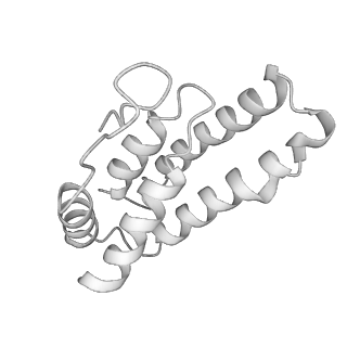 0454_6o1o_K_v1-3
Cryo-EM structure of the T. thermophilus Csm complex bound to target ssRNA