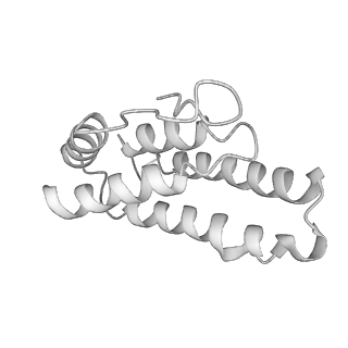 0454_6o1o_L_v1-3
Cryo-EM structure of the T. thermophilus Csm complex bound to target ssRNA