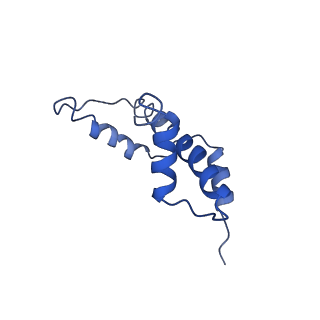 0586_6o1d_A_v1-4
Cryo-EM structure of the centromeric nucleosome with native alpha satellite DNA