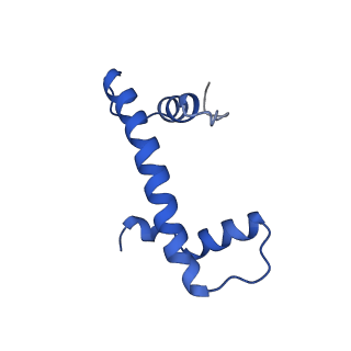 0586_6o1d_B_v1-4
Cryo-EM structure of the centromeric nucleosome with native alpha satellite DNA